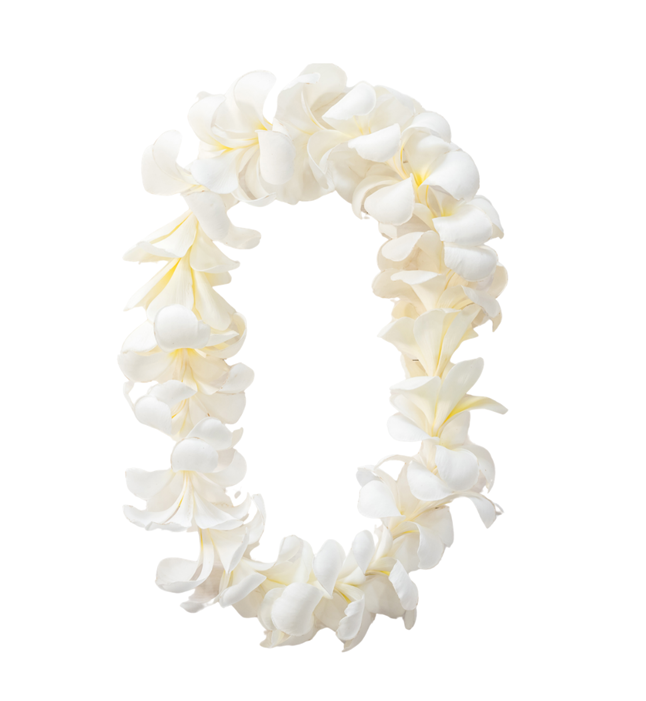 Single Yellow Plumeria Lei