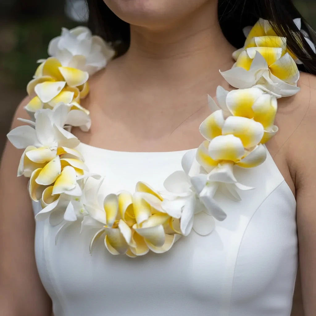 Single White Orchid & Plumeria Lei