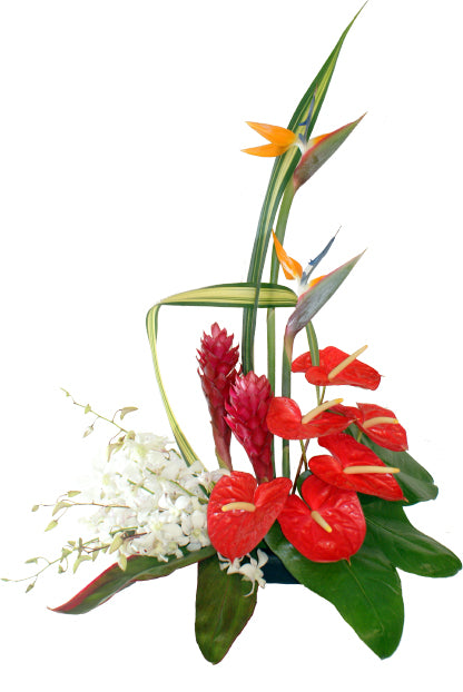 Tropical Mix Assortment