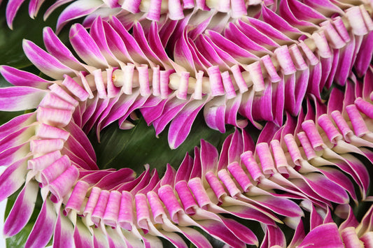Butterfly Lei