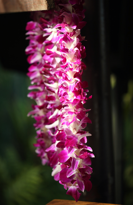 Double Purple Orchid Lei