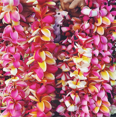 Double Yellow Plumeria & Purple Orchid Lei