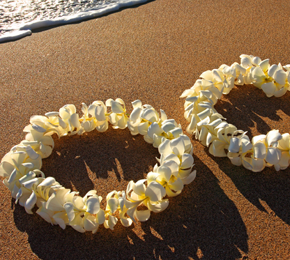 Single Yellow Plumeria Lei