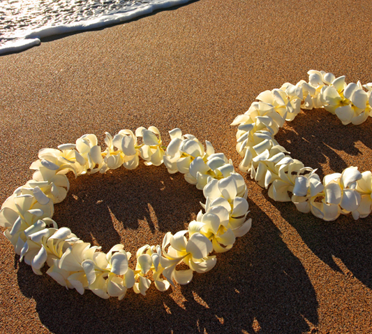 Single Yellow Plumeria Lei