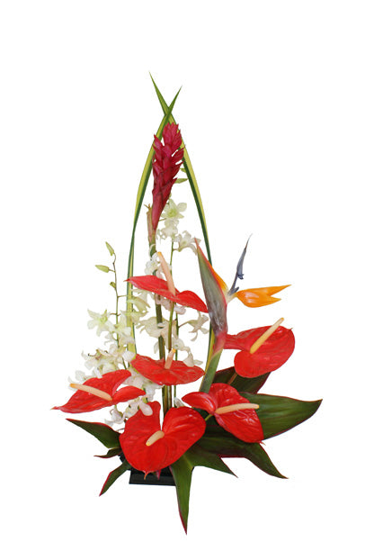 Tropical Delight Special Assortment