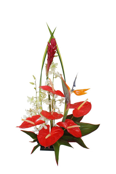 Tropical Delight Special Assortment