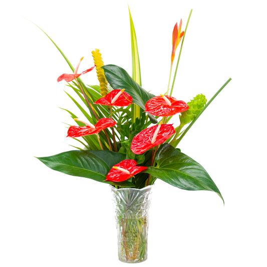 Aloha Mix Assortment
