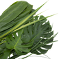 Hawaiian Rainforest Foliage