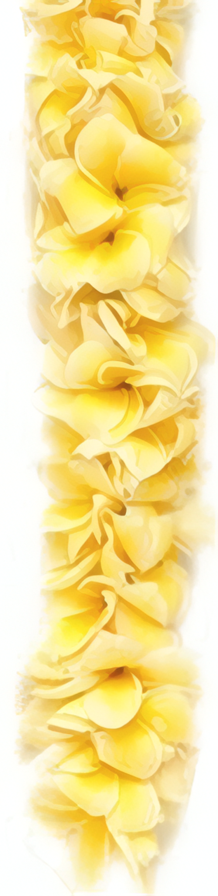 Double Yellow Plumeria Lei