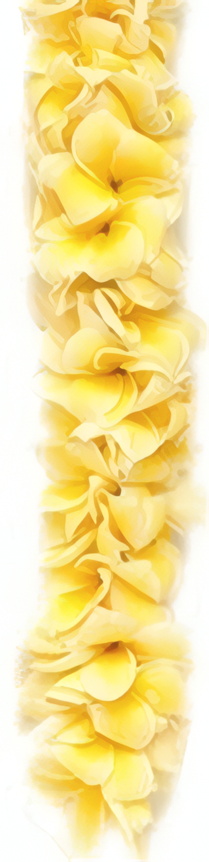 Double Yellow Plumeria Lei