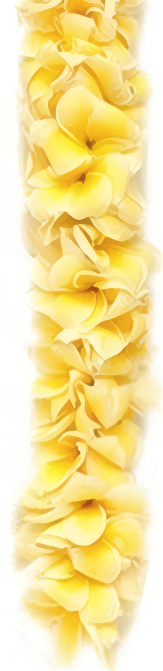 Double Yellow Plumeria Lei