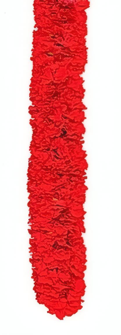Graduation Double Carnation Lei