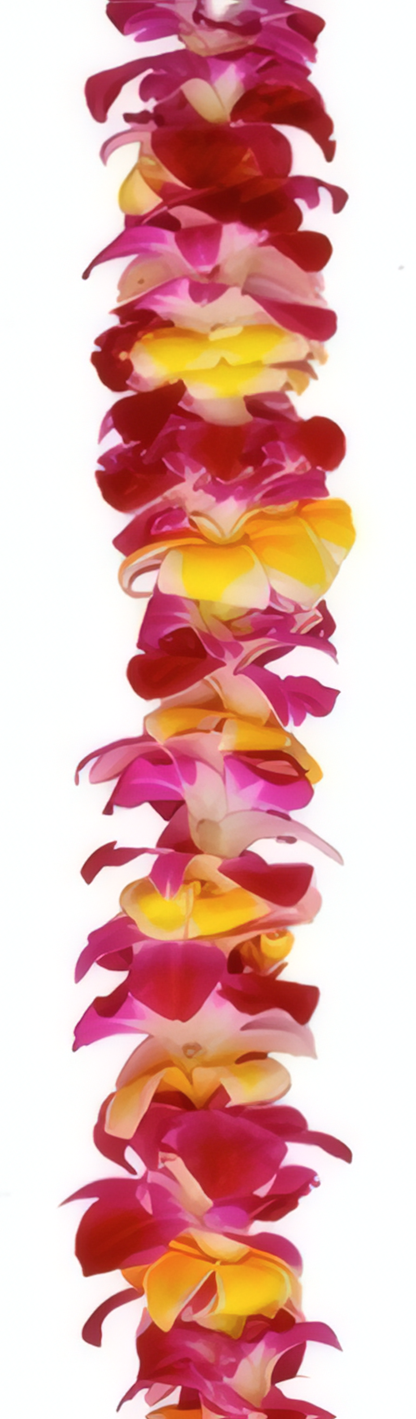 Double Yellow Plumeria & Purple Orchid Lei