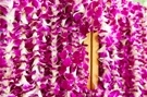 Image Fragrant Micronesian Ginger Lei-