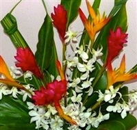 Image Double Lantern Illima & Green Dendrobium Orchid Lei